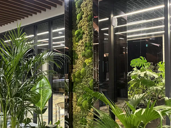 제이수컴퍼니 카페 모스시공